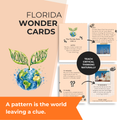 Florida Inquiry Cards | History, Science & Critical Thinking | Wonder Cards