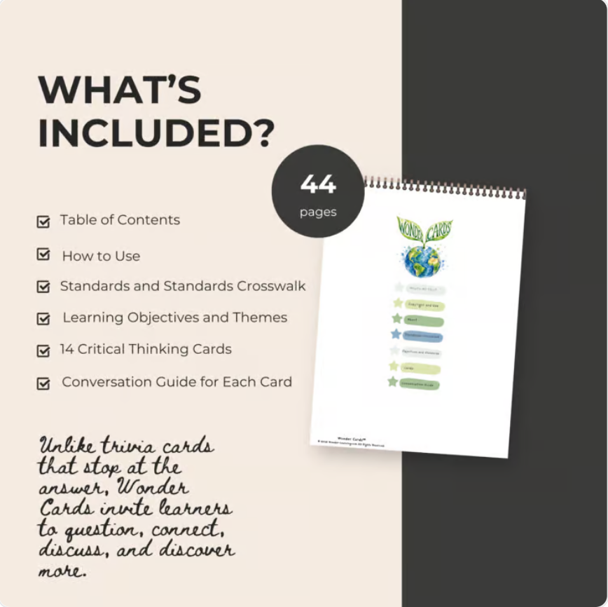 History Inquiry Cards | Historical Thinking, Evidence, Discussion & Research
